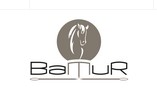 Bamur Logo