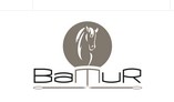 Bamur Logo